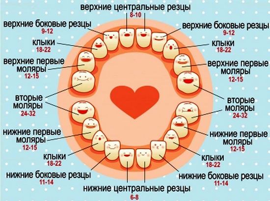 Во сколько режутся зубы у детей